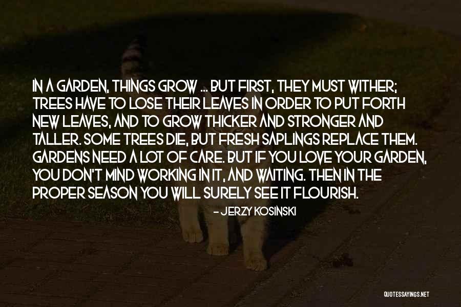 Saplings Quotes By Jerzy Kosinski Saplings Quotes By Jerzy Kosinski
