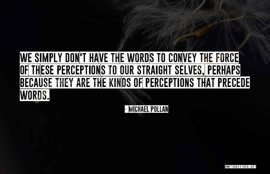 Saplings Synonym Quotes By Michael Pollan Saplings Synonym Quotes By Michael Pollan