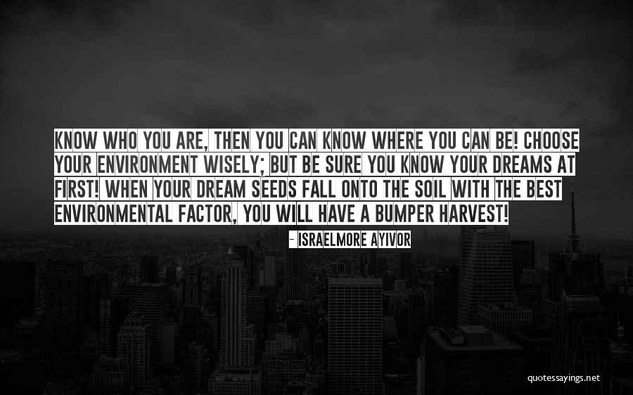 Saponaro Barach Quotes By Israelmore Ayivor Saponaro Barach Quotes By Israelmore Ayivor
