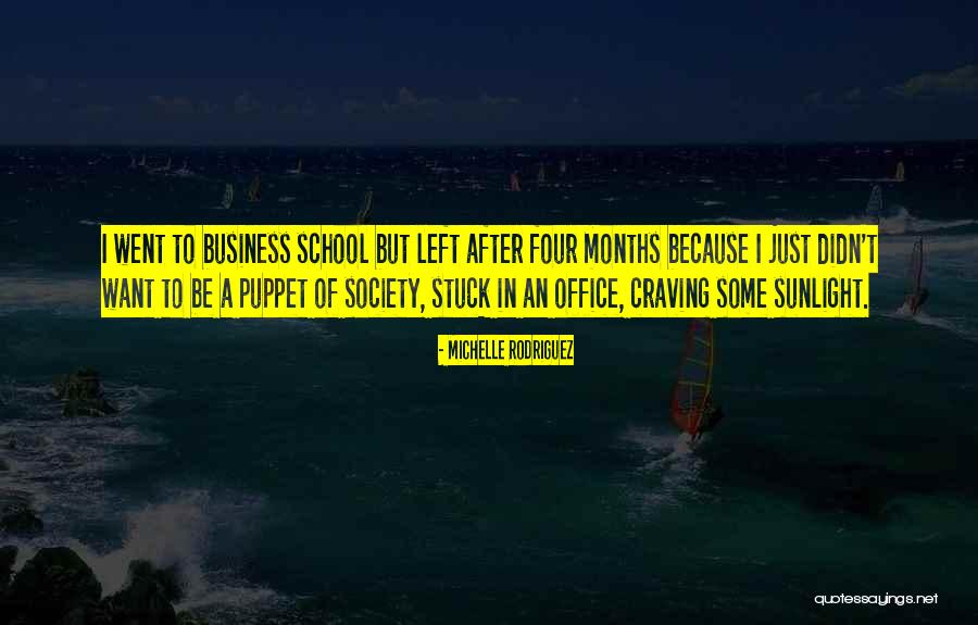 Saponins Side Quotes By Michelle Rodriguez Saponins Side Quotes By Michelle Rodriguez