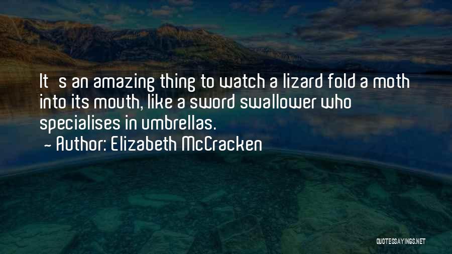 Sappeler Quotes By Elizabeth McCracken