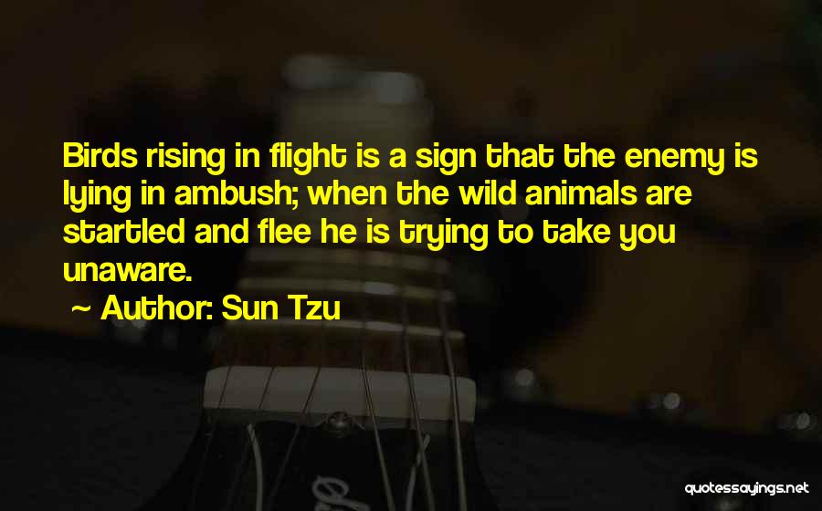 Sappeler Quotes By Sun Tzu