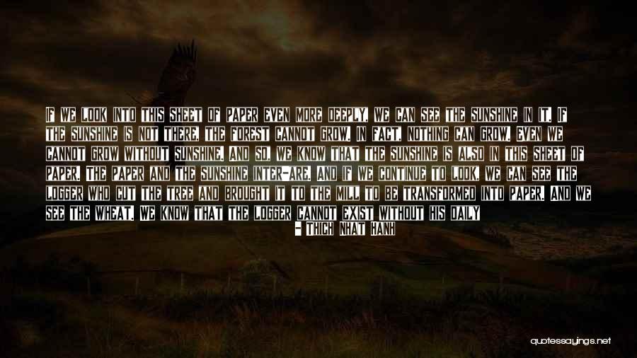 Sapphira Videos Quotes By Thich Nhat Hanh Sapphira Videos Quotes By Thich Nhat Hanh