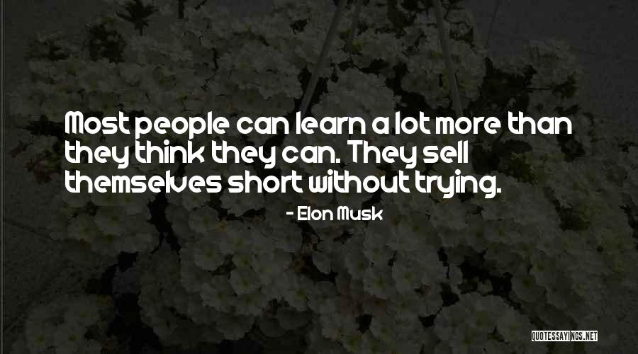 Sapphires And Romance Quotes By Elon Musk Sapphires And Romance Quotes By Elon Musk