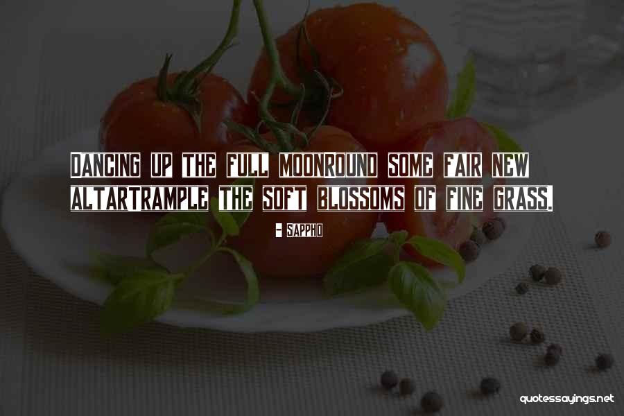 Sappho Quotes 1542258 Sappho Quotes 1542258