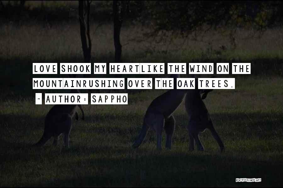 Sappho Quotes 795096