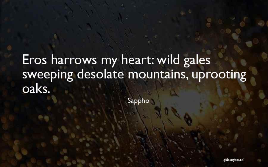 Sappho Quotes 960914