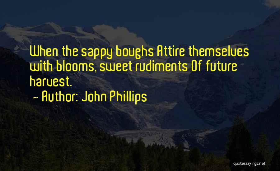 Sappy Quotes By John Phillips