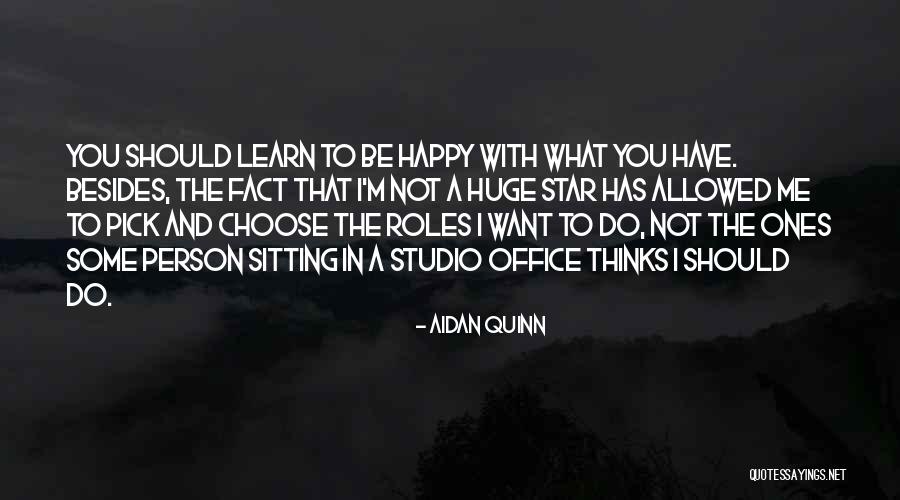 Sapusmidjan Quotes By Aidan Quinn Sapusmidjan Quotes By Aidan Quinn