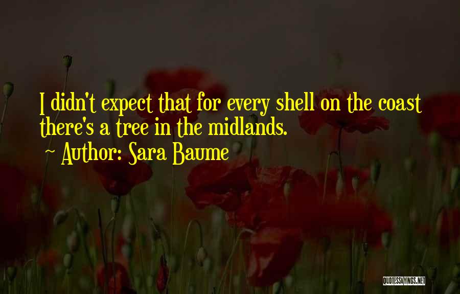 Sara Baume Quotes 1065921