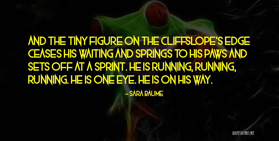 Sara Baume Quotes 1591545 Sara Baume Quotes 1591545