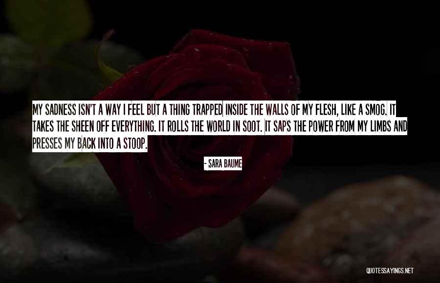 Sara Baume Quotes 2048194 Sara Baume Quotes 2048194
