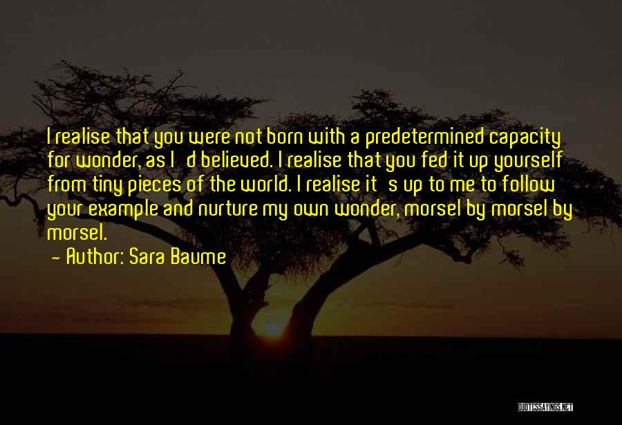 Sara Baume Quotes 2187373