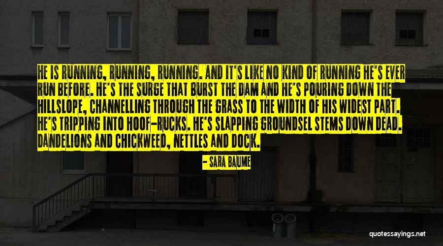 Sara Baume Quotes 710409 Sara Baume Quotes 710409