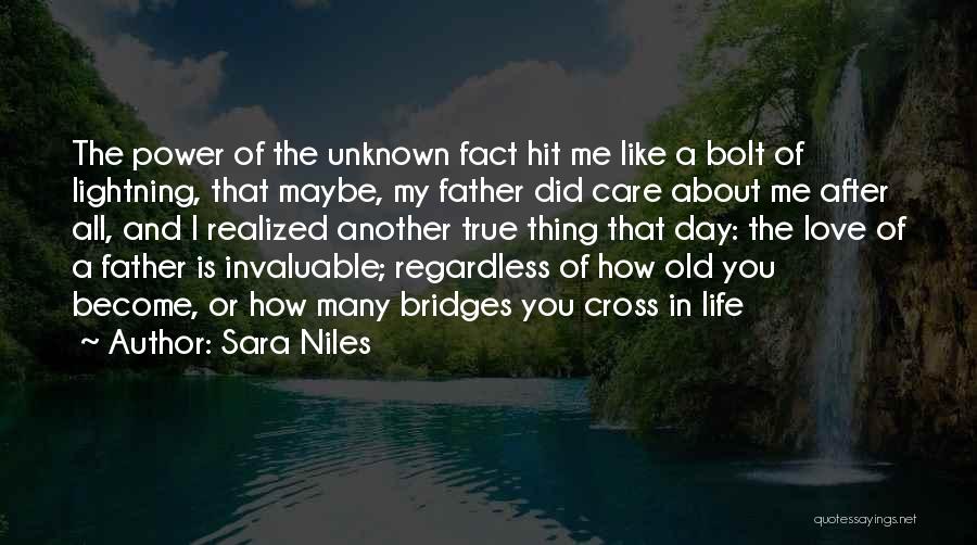 Sara Niles Quotes 1225312