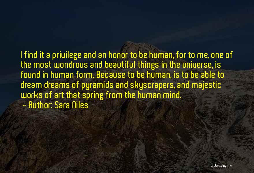 Sara Niles Quotes 1581757