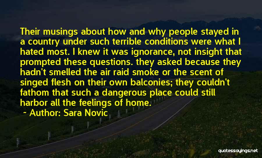 Sara Novic Quotes 2106867