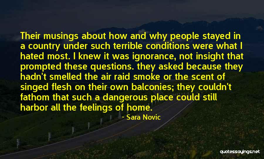 Sara Novic Quotes 2106867