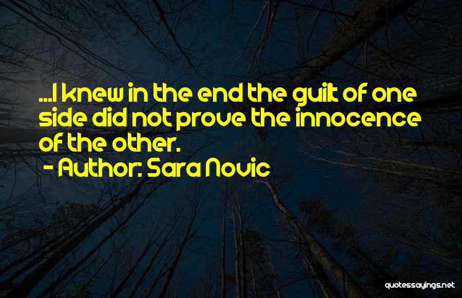Sara Novic Quotes 329463