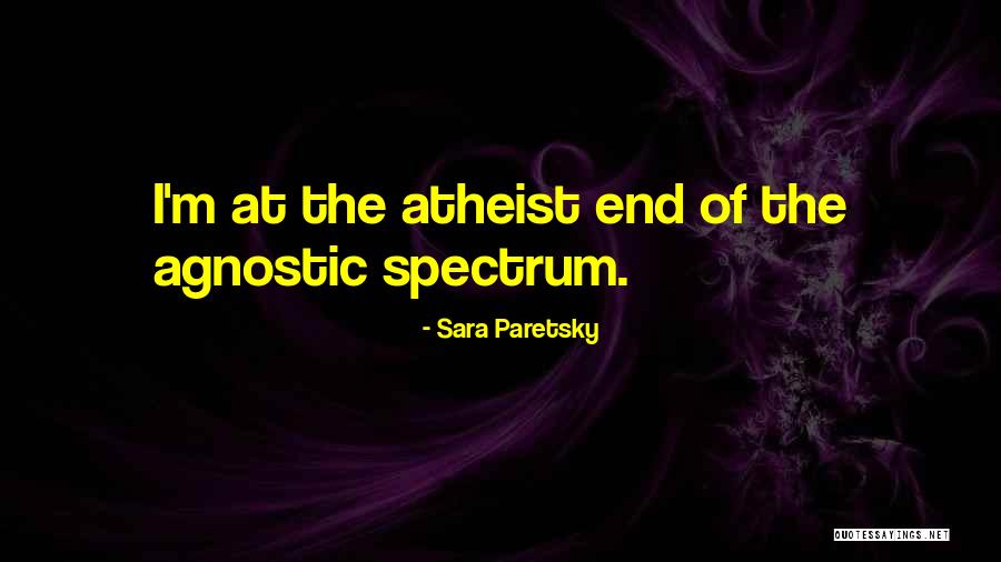 Sara Paretsky Quotes 2016583