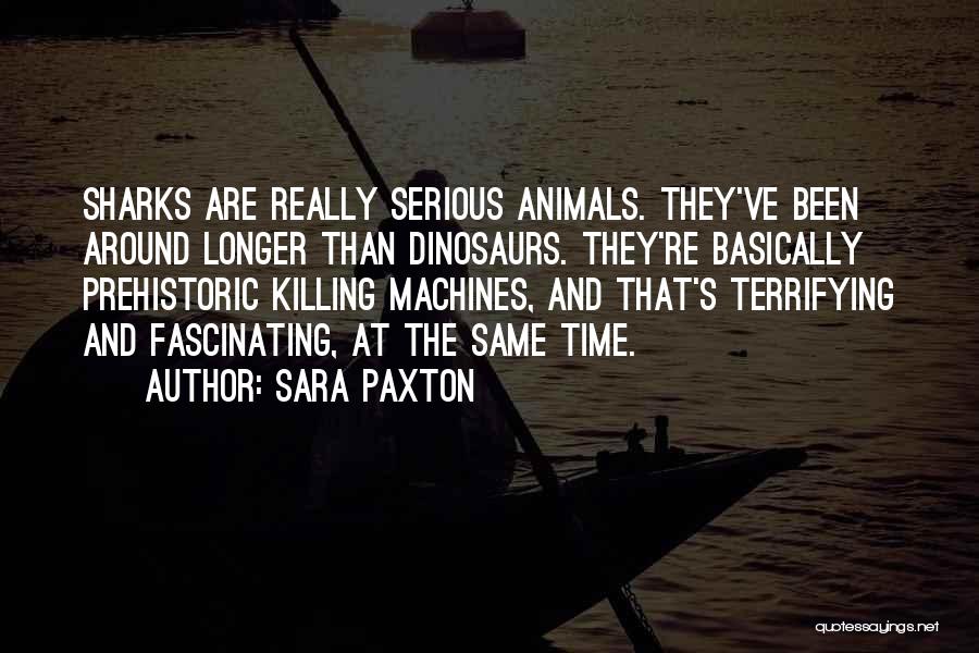 Sara Paxton Quotes 595147