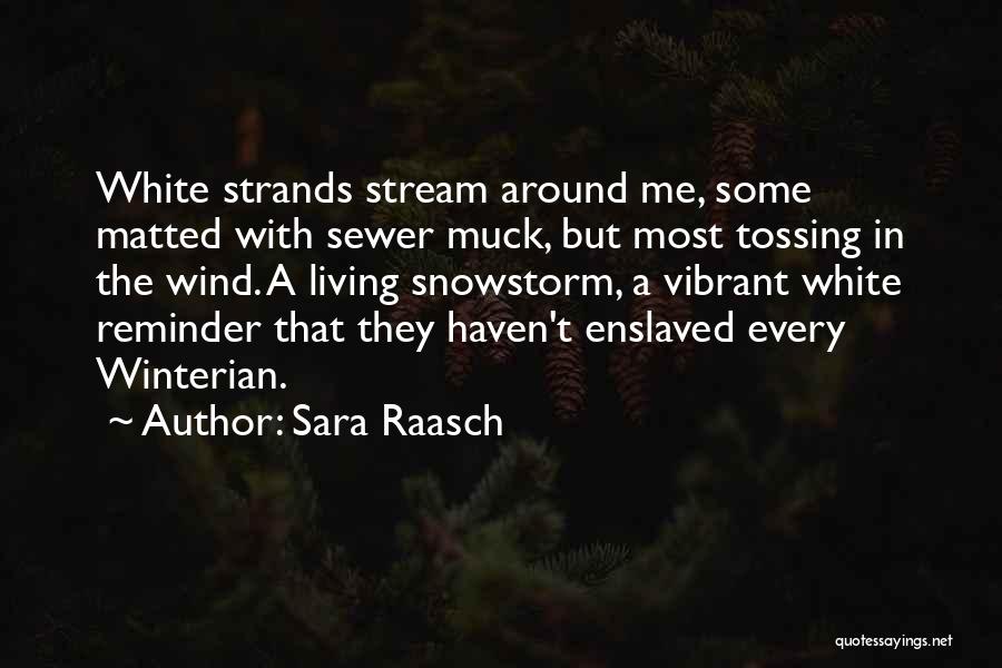 Sara Raasch Quotes 1727239