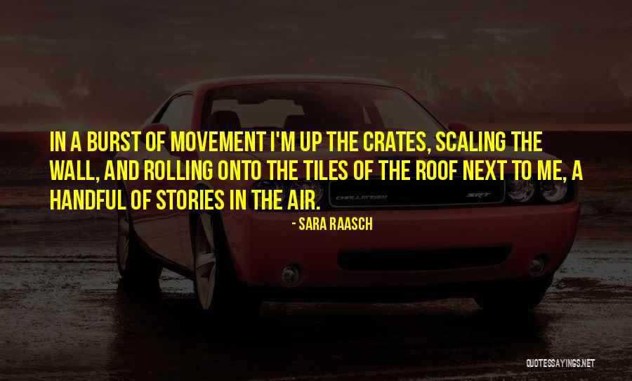 Sara Raasch Quotes 2185912