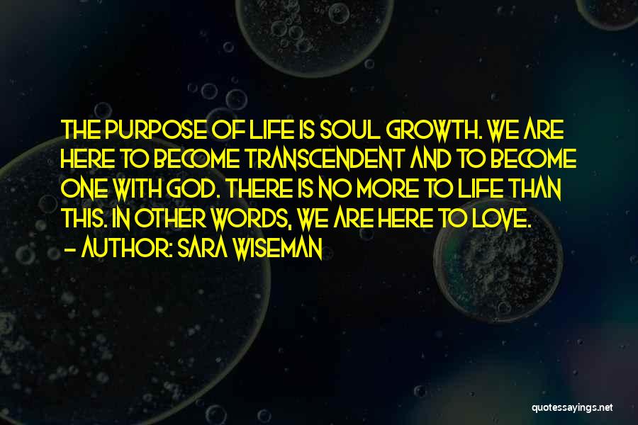 Sara Wiseman Quotes 258526