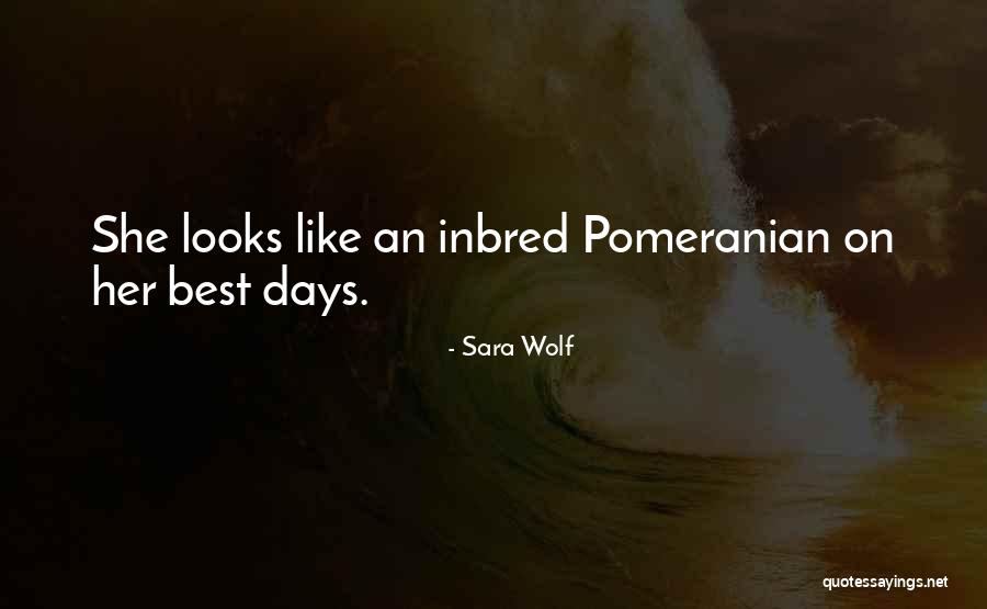 Sara Wolf Quotes 2082380