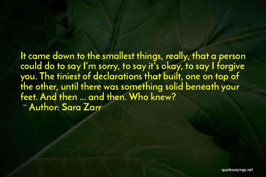 Sara Zarr Quotes 238086