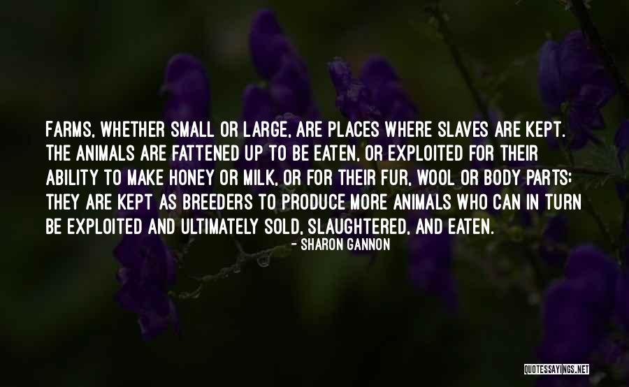 Sarabia Pablo Quotes By Sharon Gannon Sarabia Pablo Quotes By Sharon Gannon