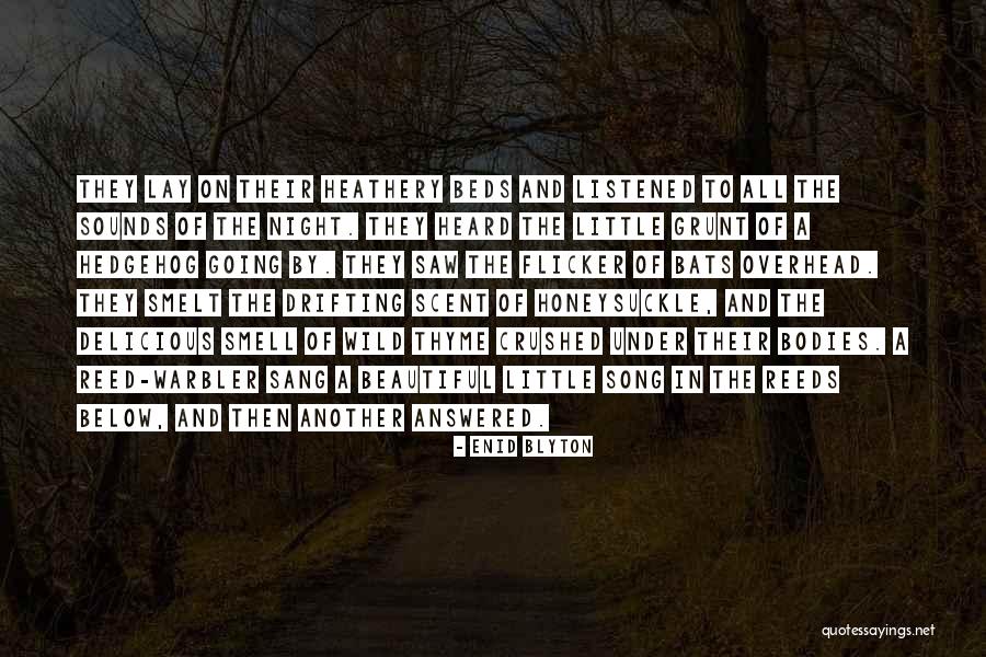 Saracen Armoured Quotes By Enid Blyton Saracen Armoured Quotes By Enid Blyton