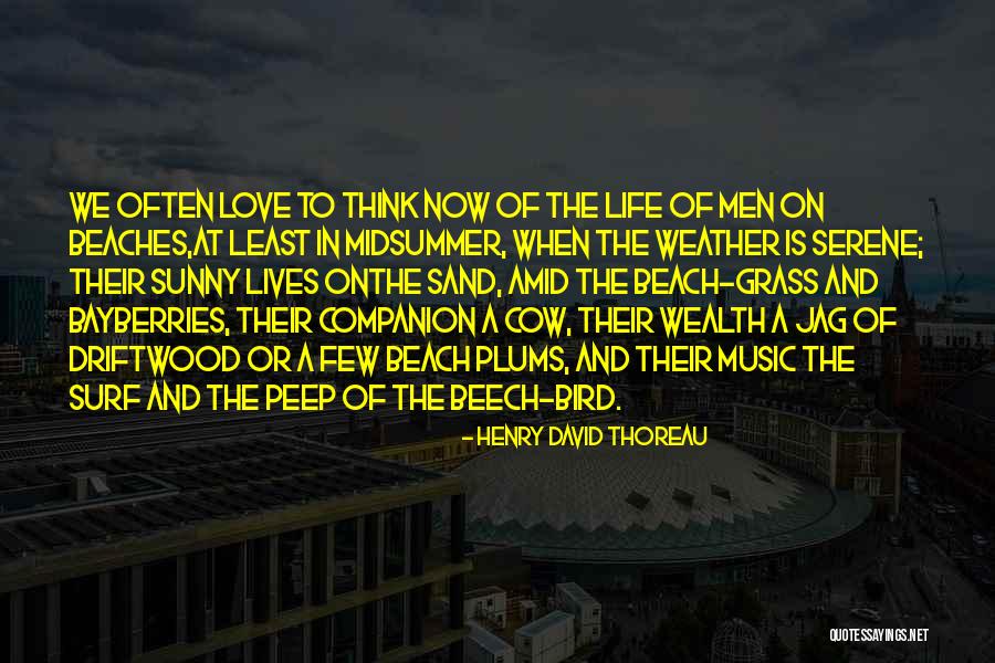 Saragonis Quotes By Henry David Thoreau Saragonis Quotes By Henry David Thoreau