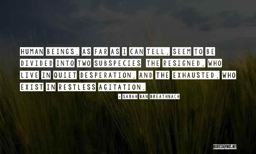 Sarah Ban Breathnach Quotes 2158339 Sarah Ban Breathnach Quotes 2158339