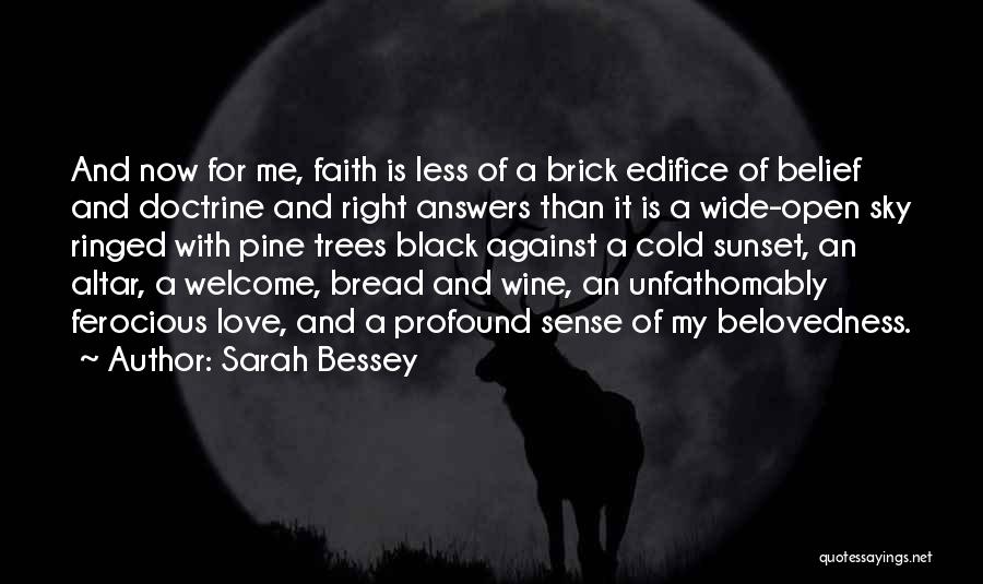 Sarah Bessey Quotes 911178
