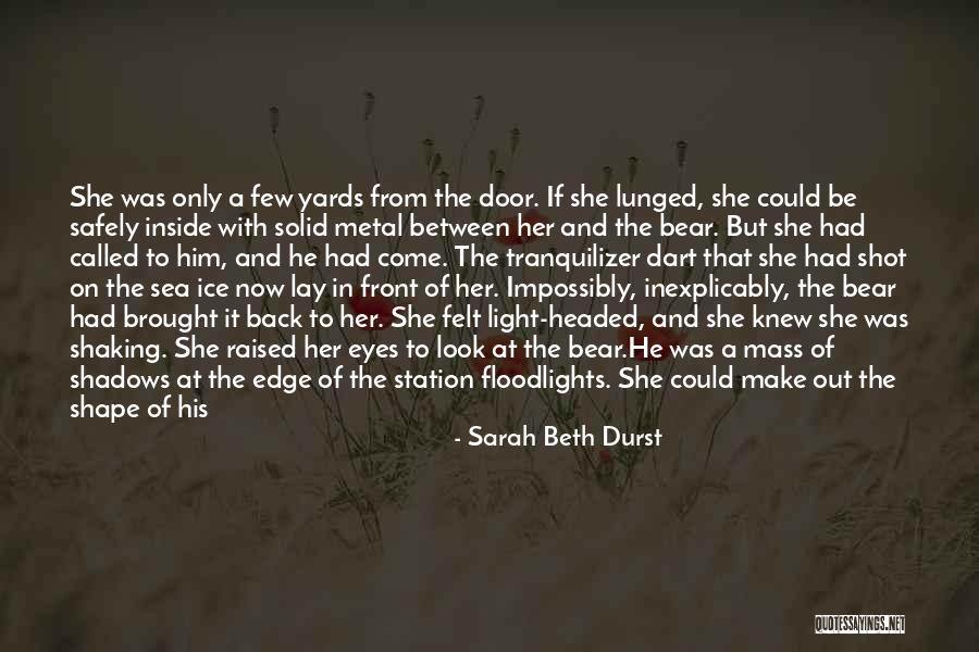 Sarah Beth Durst Quotes 1450311