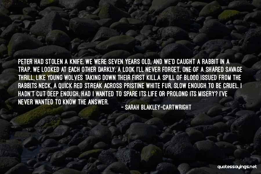 Sarah Blakley-Cartwright Quotes 1256210 Sarah Blakley-Cartwright Quotes 1256210