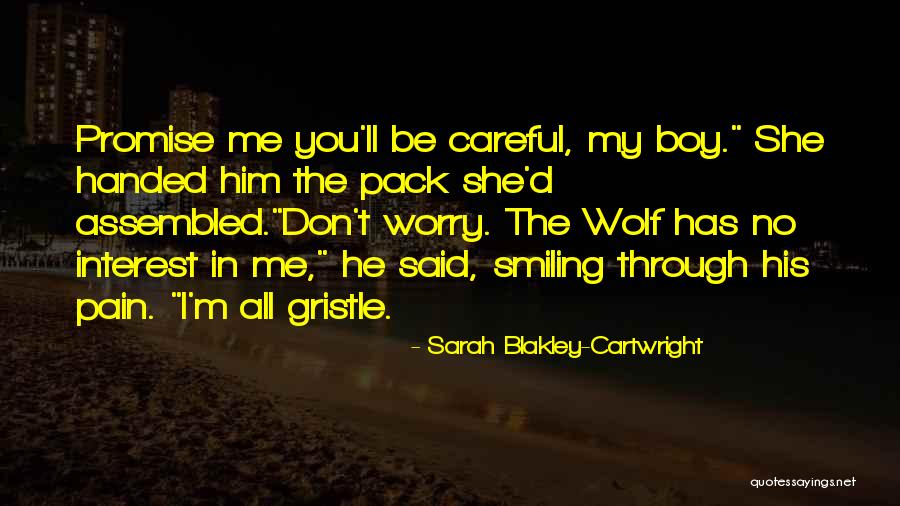 Sarah Blakley-Cartwright Quotes 630009