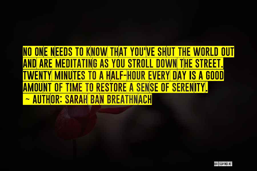 Sarah Breathnach Quotes By Sarah Ban Breathnach