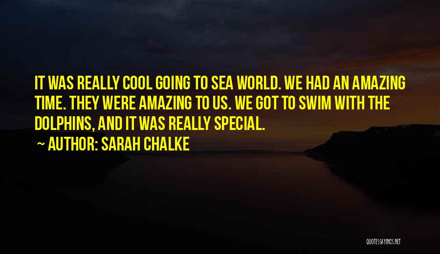 Sarah Chalke Quotes 1043137