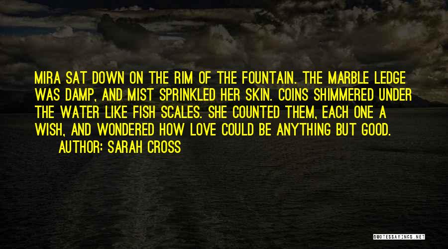 Sarah Cross Quotes 875970