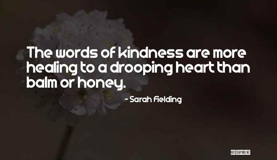 Sarah Fielding Quotes 1025236