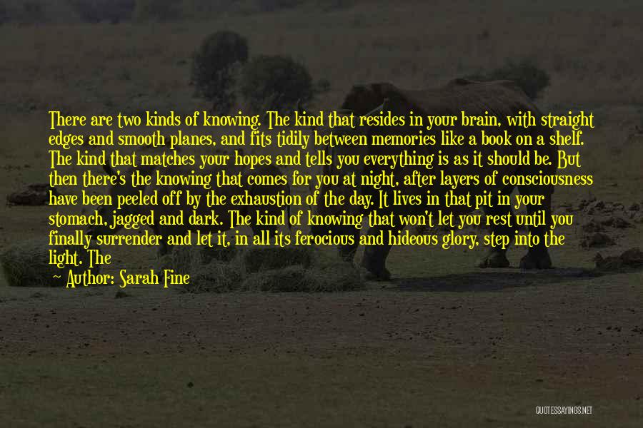 Sarah Fine Quotes 1500006