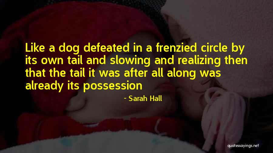 Sarah Hall Quotes 1011297