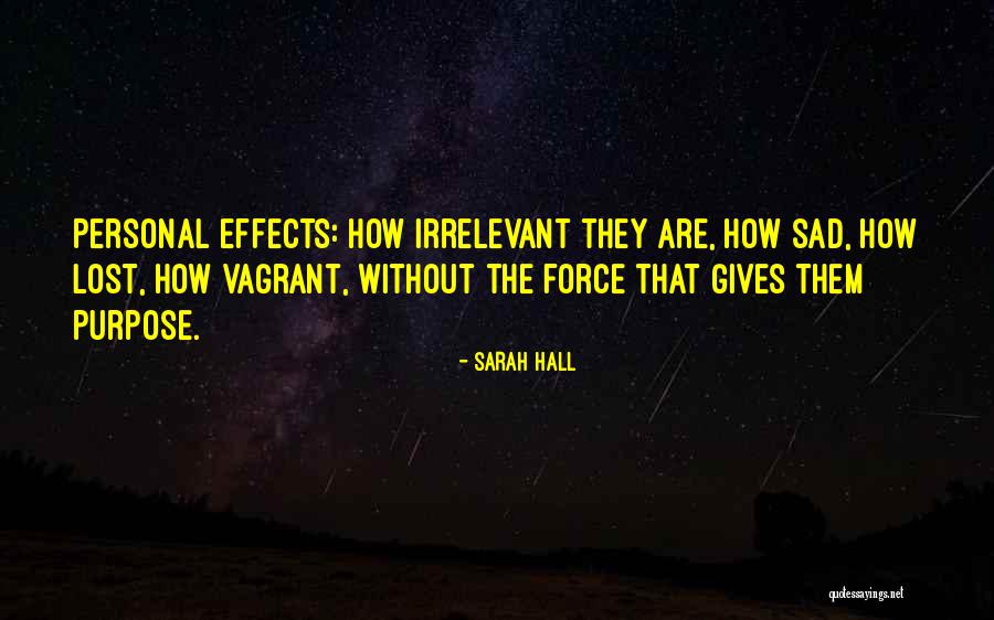 Sarah Hall Quotes 1662441