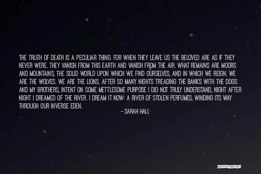 Sarah Hall Quotes 200038