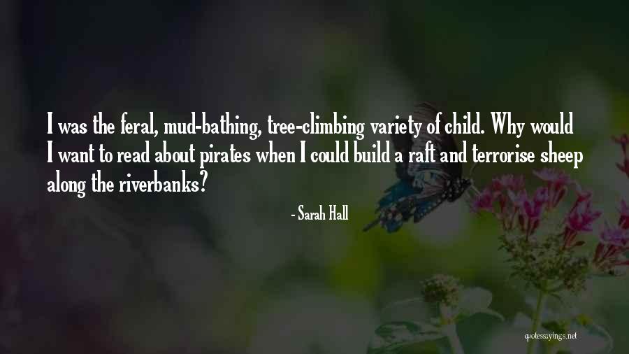 Sarah Hall Quotes 958370