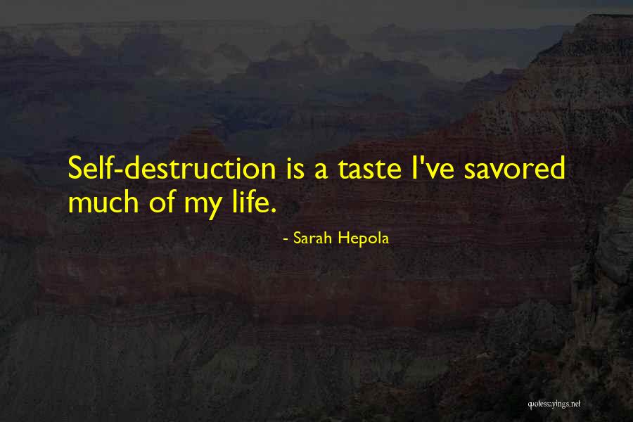 Sarah Hepola Quotes 1863320