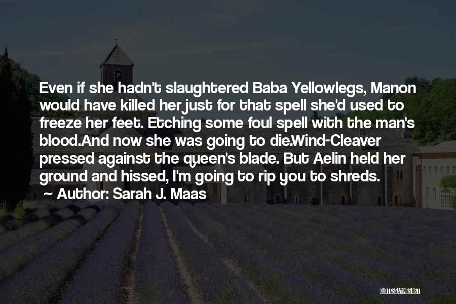 Sarah J. Maas Quotes 433375