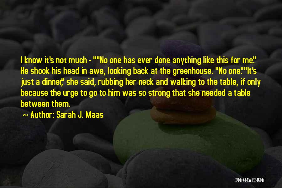 Sarah J. Maas Quotes 900938